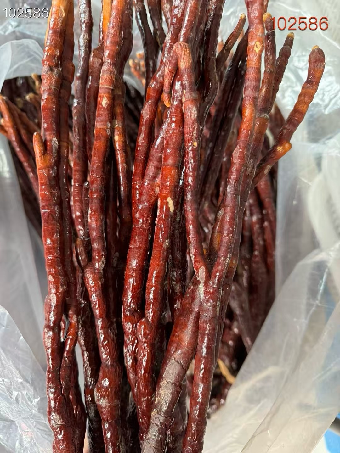 长白山本地灵芝草,传统滋补营养品,整枝灵芝,淘宝优惠券,粉丝福利购,淘宝优惠卷