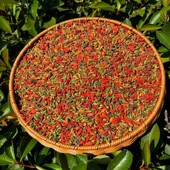 东北枸杞子500g长白山红绿枸杞手工采摘茶泡水东北特产养生茶