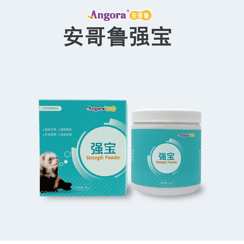 雪貂安哥鲁新款体重强身宠物雪貂