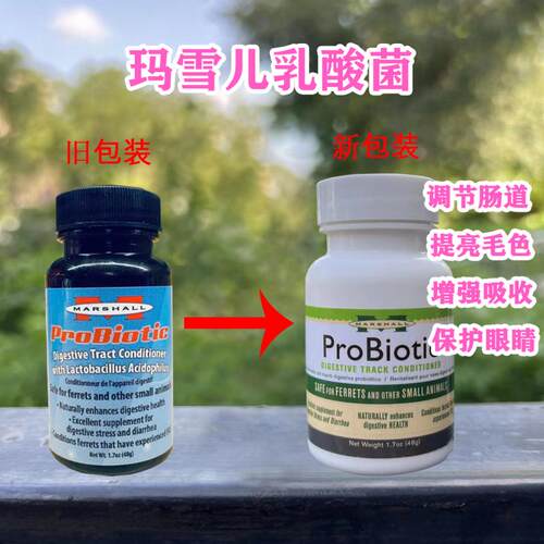 marshall乳酸菌宠物玛雪儿雪貂