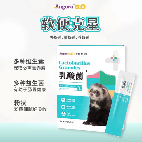 包邮安哥鲁拉肚子腹泻宠物雪貂