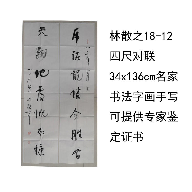 临摹手写林散之书法对联34x136cm名家题字名人字画收藏可提供鉴定-封面