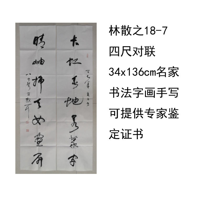临摹手写林散之书法四尺对联34x136cm名家题字字画收藏可提供鉴定