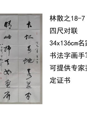 临摹手写林散之书法四尺对联34x136cm名家题字字画收藏可提供鉴定