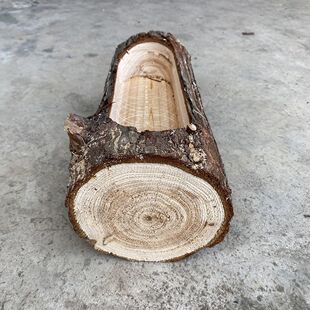 原木花盆圆木水槽天然花盆透气环保无污染原生态装饰摆件杉树