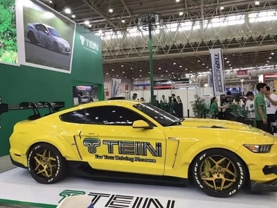 TEIN 野马mustang 原厂替换式阻尼可调桶芯 减震  FZ系列绞牙避震