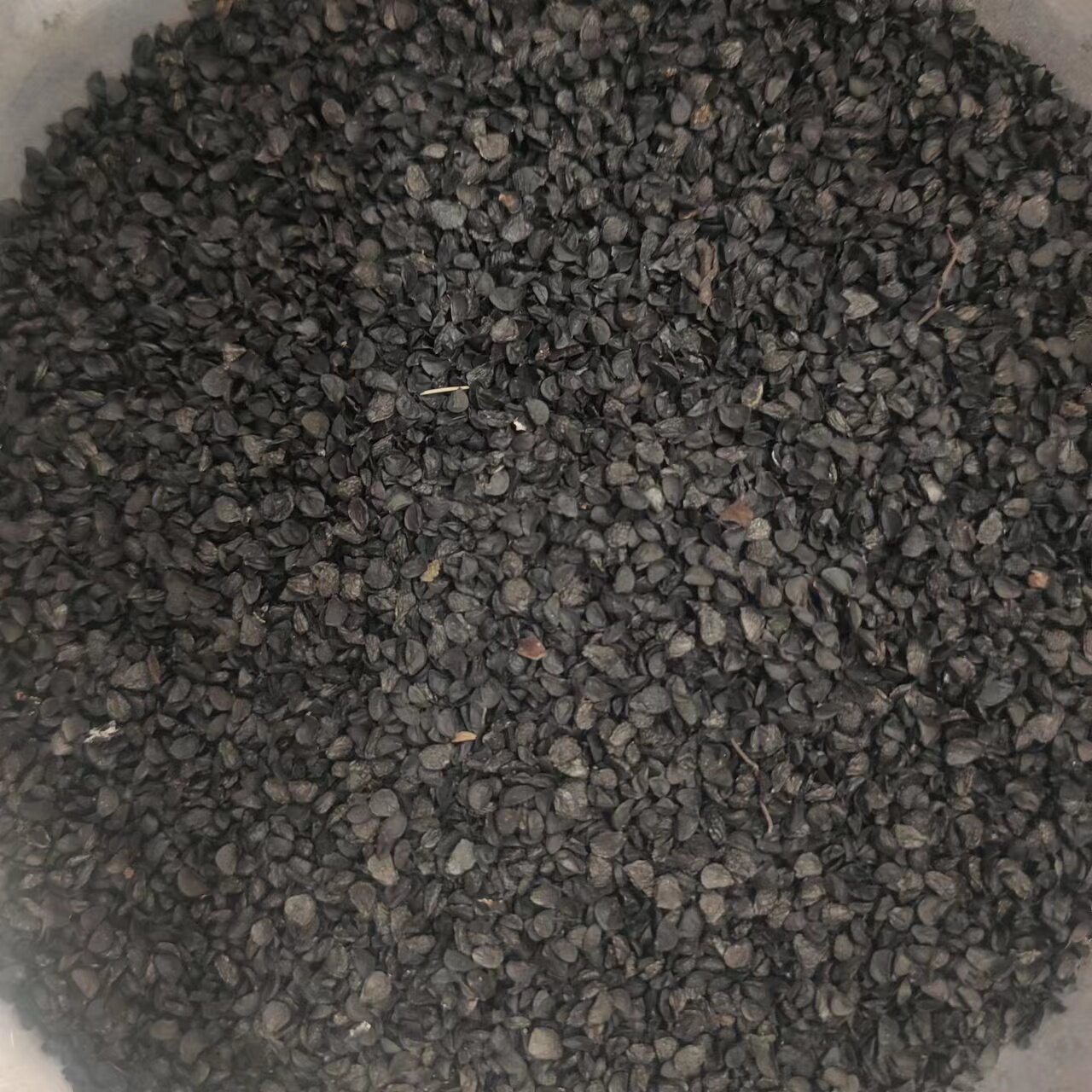 韭菜子 500g克包邮 炎黄 韭菜籽 菲菜 广东中药材市场供应