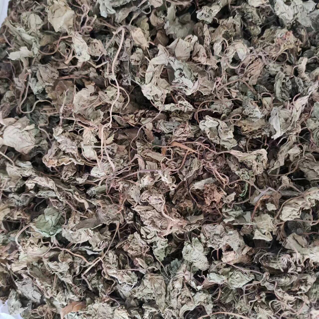 青天葵草 独叶莲 半边伞 坠千斤 天葵草 中草药材500g克140元包邮