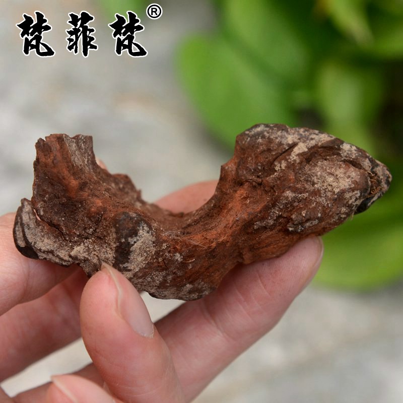 海南黄花梨木料小料鬼脸眼正宗海黄老料油梨对眼手玩把件原木摆件