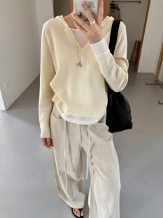 DANNAY丹奈正品2025早春新款韩版半纽扣连帽针织衫宽松纯色上衣女