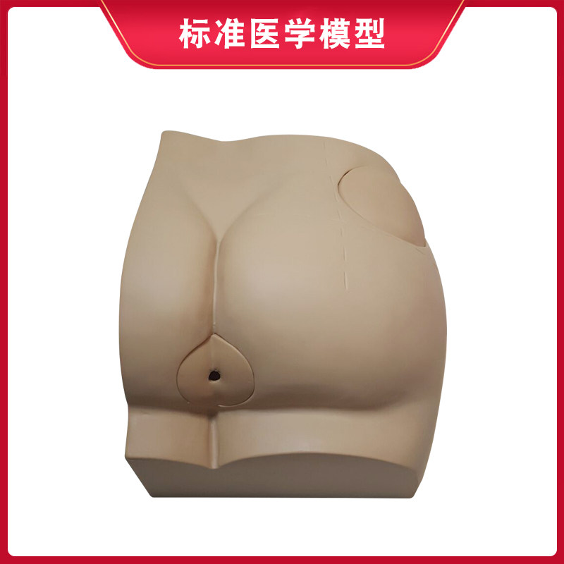 엉덩이 주입 모델 엉덩이 주입 모듈 병원 학교 교육 데모 모델 클리닉 개인 연습 모델