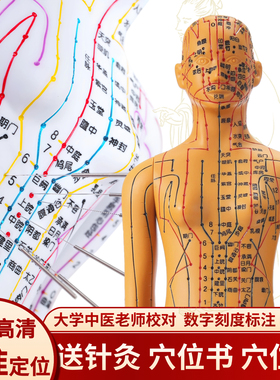 政河针灸穴位人体模型人十二经络小皮人扎针铜人穴位图教学练习