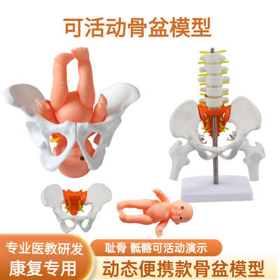 分娩迷你小骨盆孕期瑜伽学习