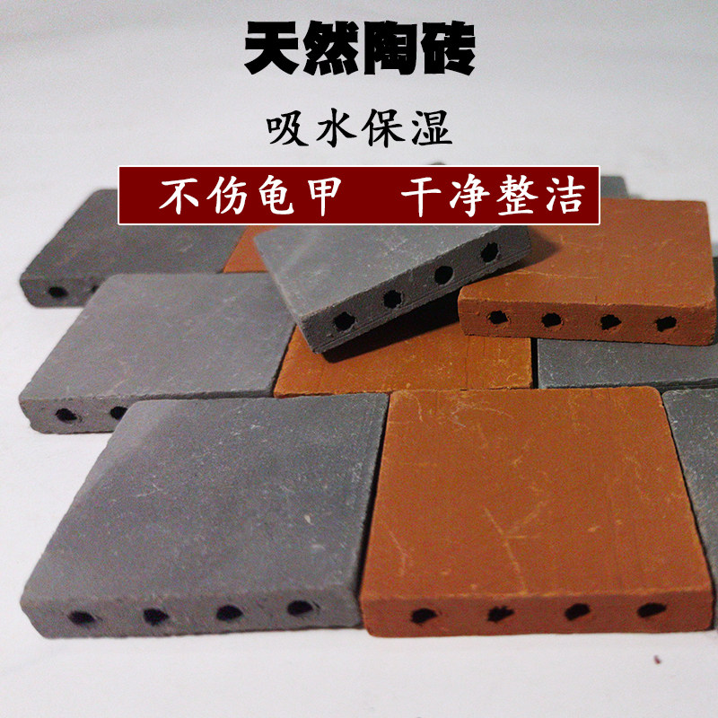 黄缘龟红青陶造景砖陶泥箱垫材图片