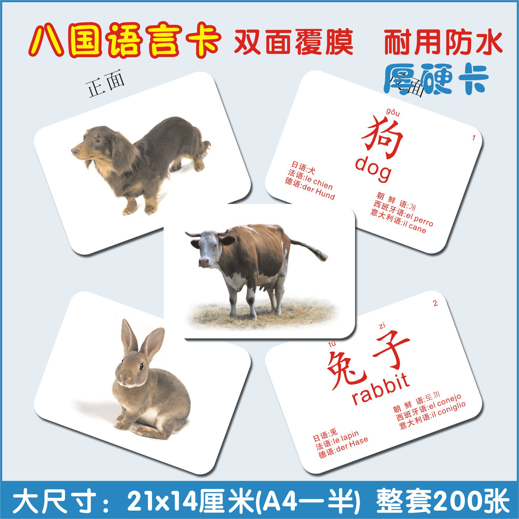 早教玩具婴幼儿童学前英语启蒙七八国语言杜曼闪卡右脑潜能开发卡