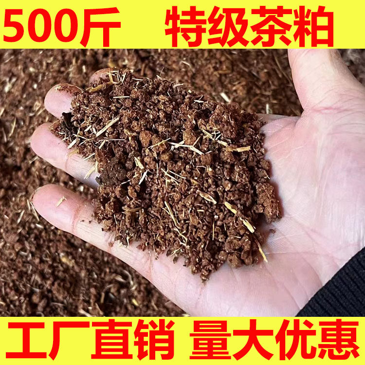 茶籽饼茶粕茶枯粉茶麸清塘水产养殖杀杂鱼福寿螺种植杀虫家用肥料