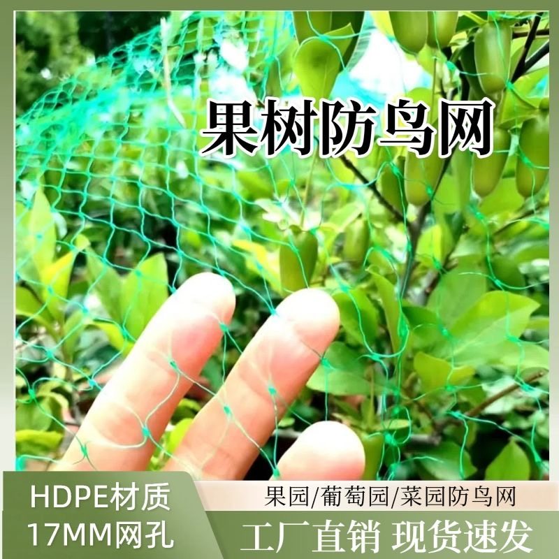 新款无结果园防鸟网罩家用防护网葡萄苹果桃树专用防鸟网农用网,农机/农具/农膜,农用防鸟网,淘宝优惠券,粉丝福利购,淘宝优惠卷