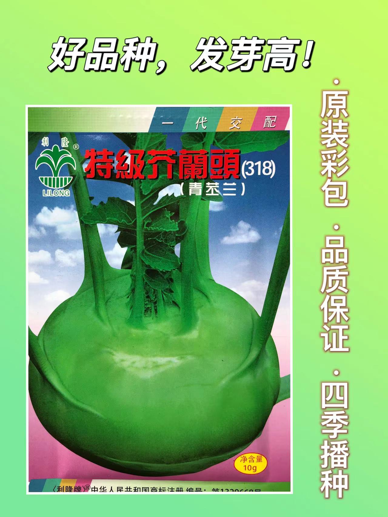 级芥兰头青苤兰种子紫苤蓝蔬莱大田蔬菜种籽孑莱芥兰头芥蓝