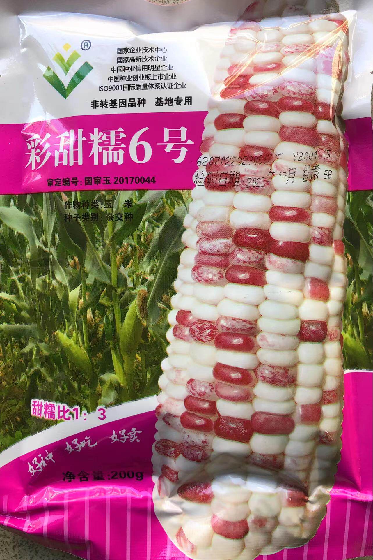 超甜彩糯玉米种籽国审品种彩甜糯6号包邮四季甜糯玉米种子