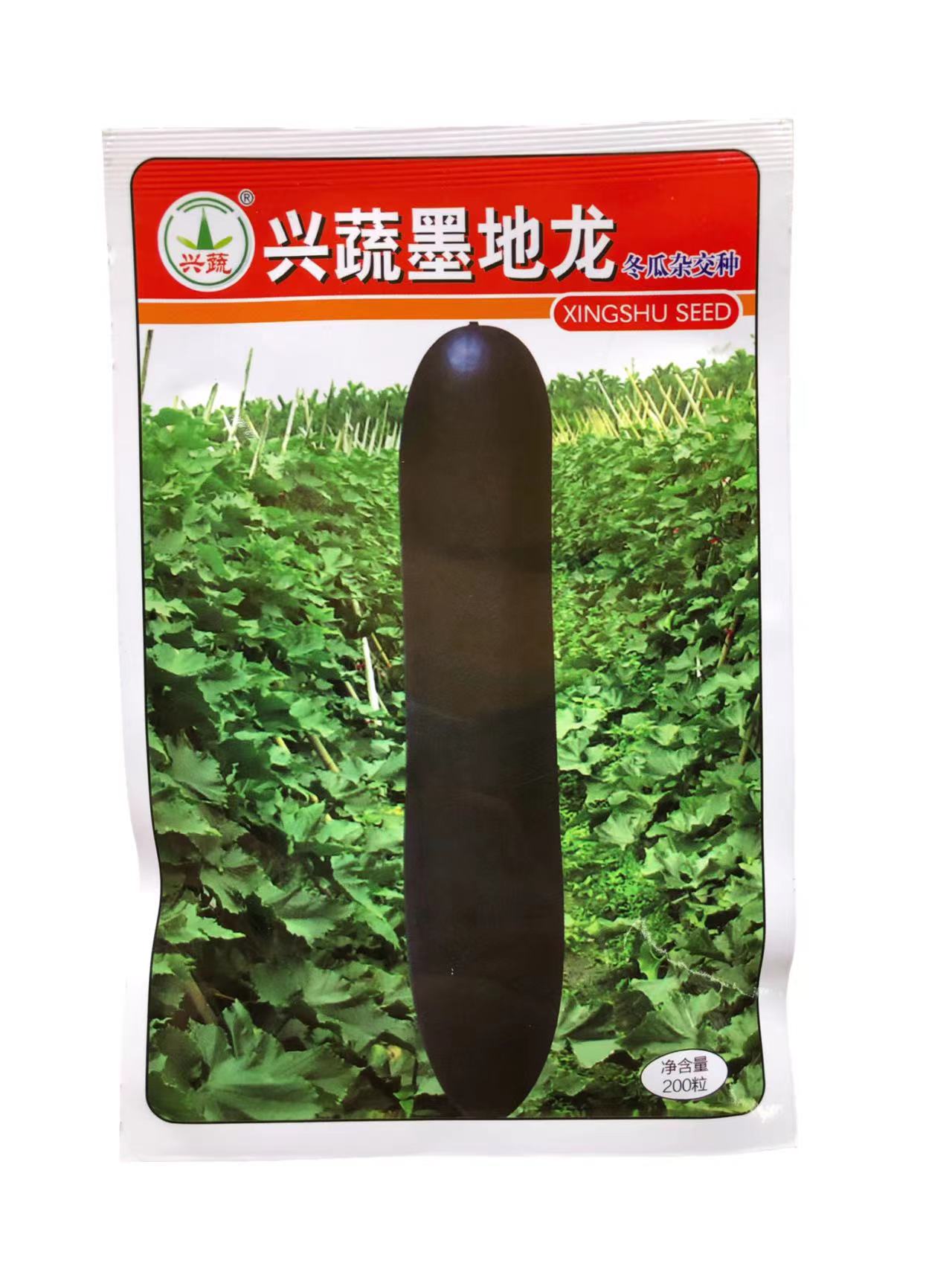 黑皮铁心长冬瓜种子湖南农科院兴蔬墨地龙冬瓜杂交种子正品保证