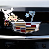 适用凯迪拉克车标贴纸小猪佩奇洗浴贴纸搞笑个性 浴皇大帝汽车车贴