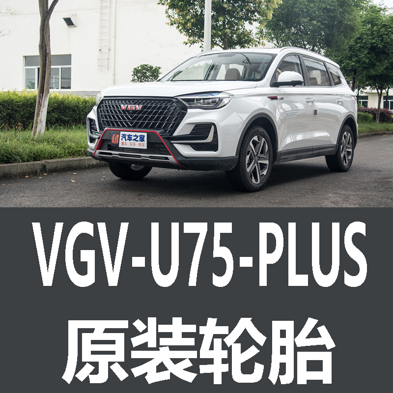 中国重汽VGVU75PLUS轮胎 专用 原厂 原车  马牌 米其林 胎 汽车零部件/养护/美容/维保 乘用车轮胎 原图主图