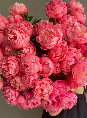 带芽芍药根块重瓣花苗种根块四季多年生开花庭院芳香观花盆栽耐寒