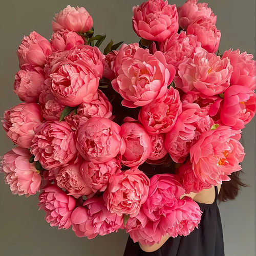 带芽发货芳香花植物重瓣芍药根块