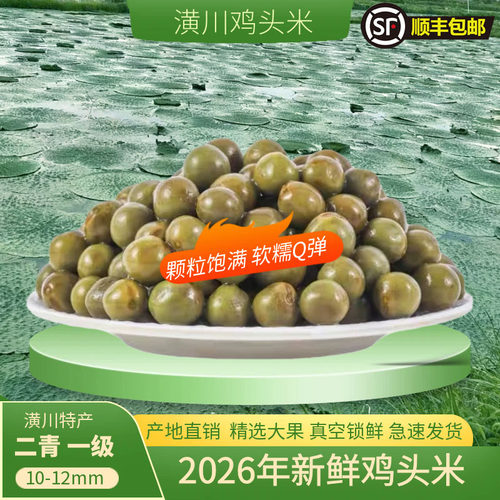 潢川鸡头米颗粒饱满软糯Q弹