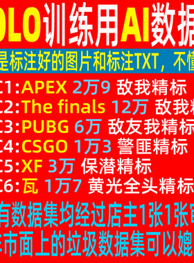 APEX\The finals\PUBG\CSGO\XF\瓦 AI训练标注图片YOLO数据集拉框