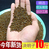 生决明子做枕芯枕头专用决明子玩具沙子散装 室内宝宝沙池沙滩套装