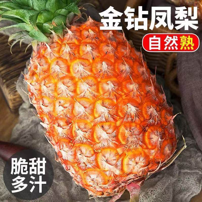 海南金钻凤梨当季新鲜水果现摘现发树上熟大果纯甜多汁凤梨整箱