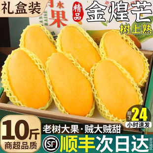 海南金煌芒新鲜应季孕妇水果水仙芒特大芒果树上熟礼盒装整箱包邮