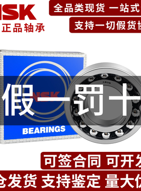 日本NSK进口1204 K EK ETN9 ATN M C3尺寸20*47*14双列调心球轴承