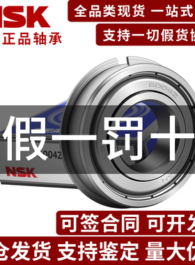 日本进口NSK轴承带卡簧槽高速6804 6805 6806 6807 6808 6809ZZNR