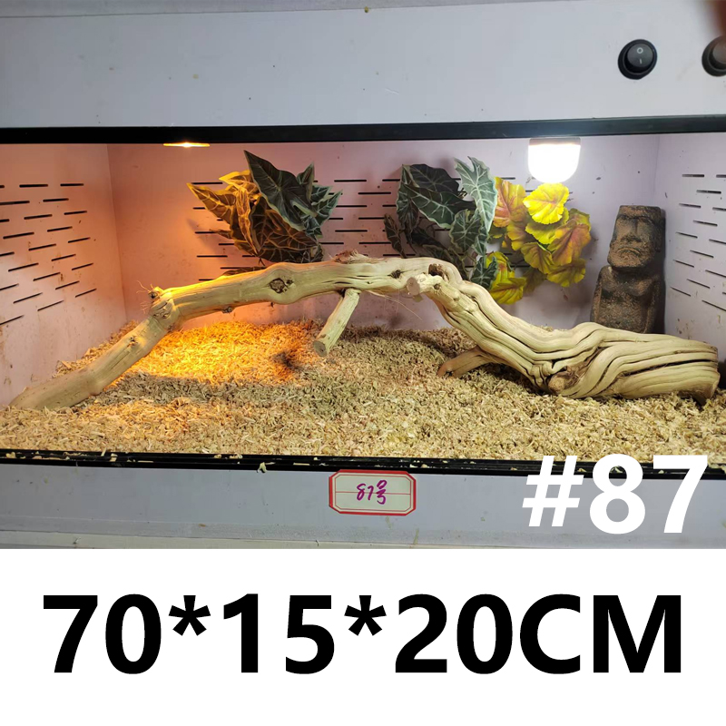 70-75选款爬宠天然木头造景豹纹守宫鬃狮蜥蜴角树蛙攀爬龙纹枯木