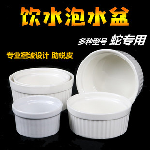 爬宠水盆宠物蛇黑白饮水泡澡盆角蛙守宫鬃狮蛇陶瓷玻璃食盆两用碗