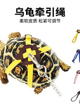 遛乌龟背心式绳子草龟陆龟