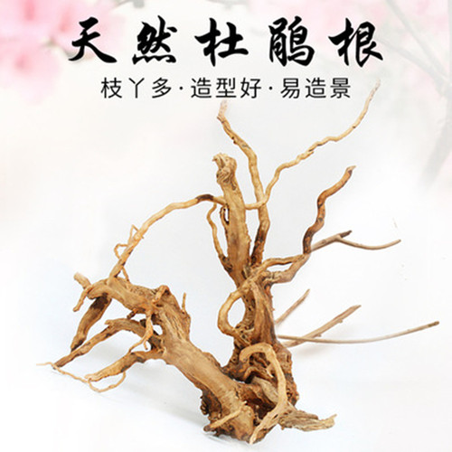 爬宠攀爬树枝杜鹃根造景