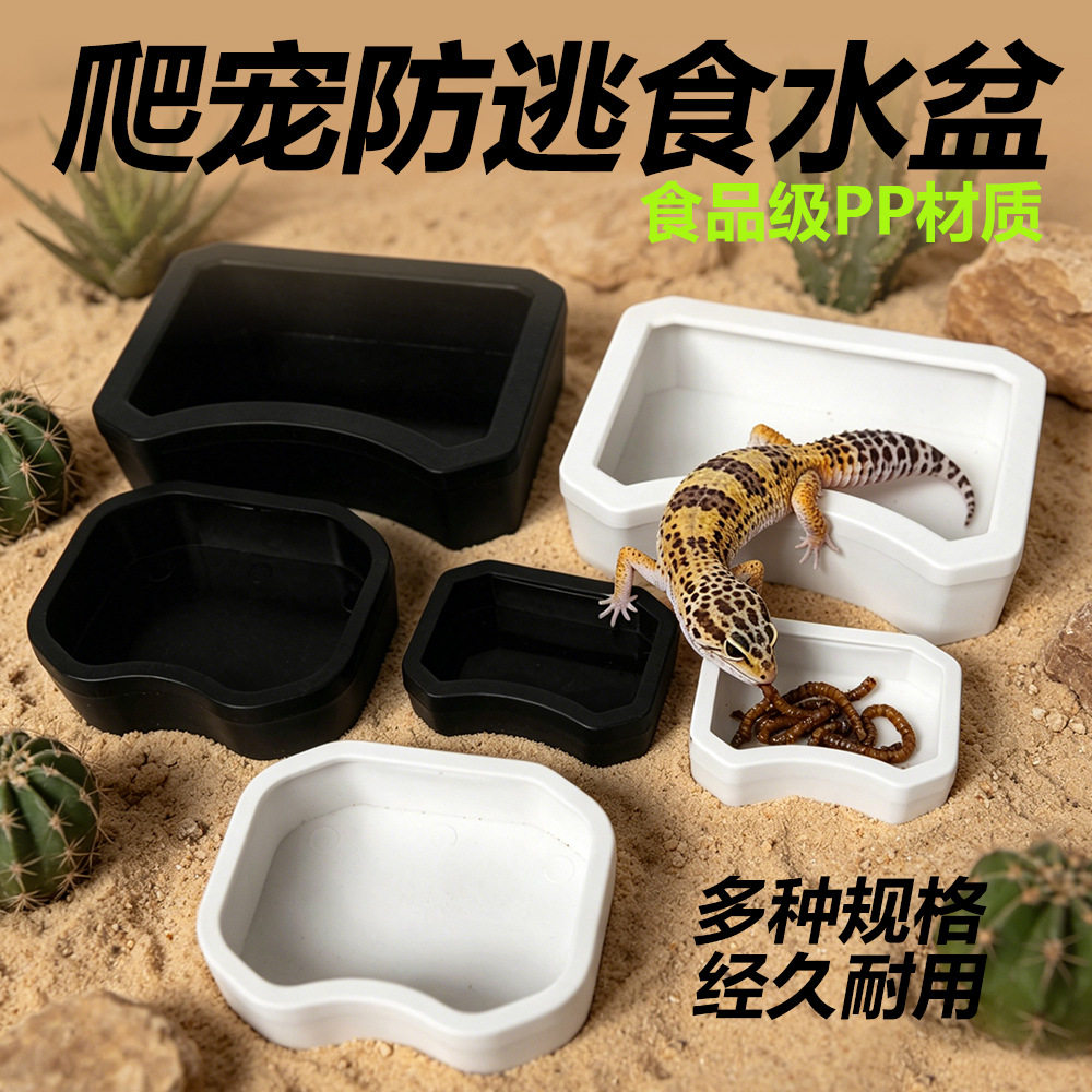 多功能塑料爬虫守宫蜥蜴蛇角蛙爬箱面包虫大麦虫防逃喂食盆喝水盆