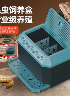 鬃狮蜥蜴守宫爬虫昆虫面包虫蟋蟀杜比亚蟑螂活体饲料饲防逃养盒箱