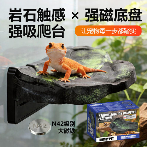 爬宠雨林缸仿岩石强磁吸爬台睫角巨人守宫树蛙悬挂攀爬架晒台躲避