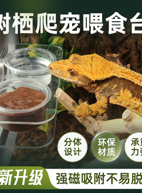 爬宠爬虫睫角巨人R属守宫透明悬挂磁吸果泥食水盆喂食器树栖双盆