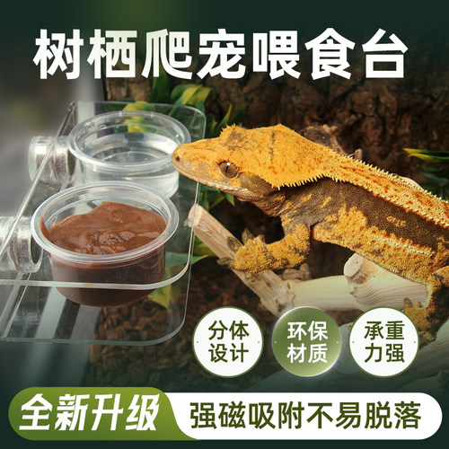 爬宠爬虫睫角巨人R属守宫透明悬挂磁吸果泥食水盆喂食器树栖双盆