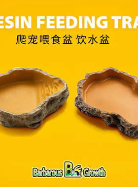 爬宠陆龟守宫蜥蜴蛇水盆食盆角蛙树蛙石阶梯泡澡盆饮水寄居蟹食碗