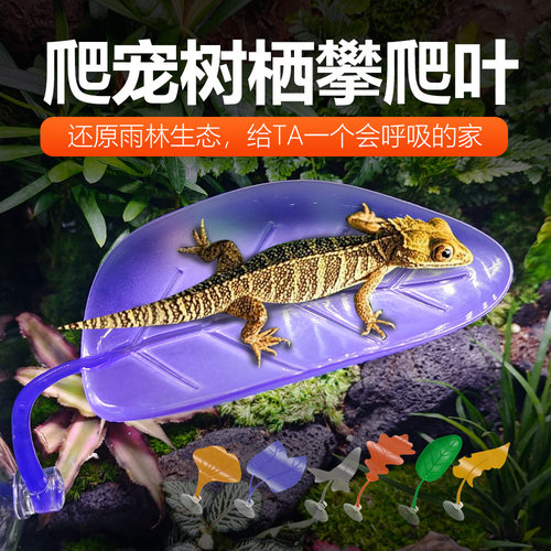 爬宠攀爬叶子树栖睫角守宫树蛙R属躲避饲养缸仿真吸盘
