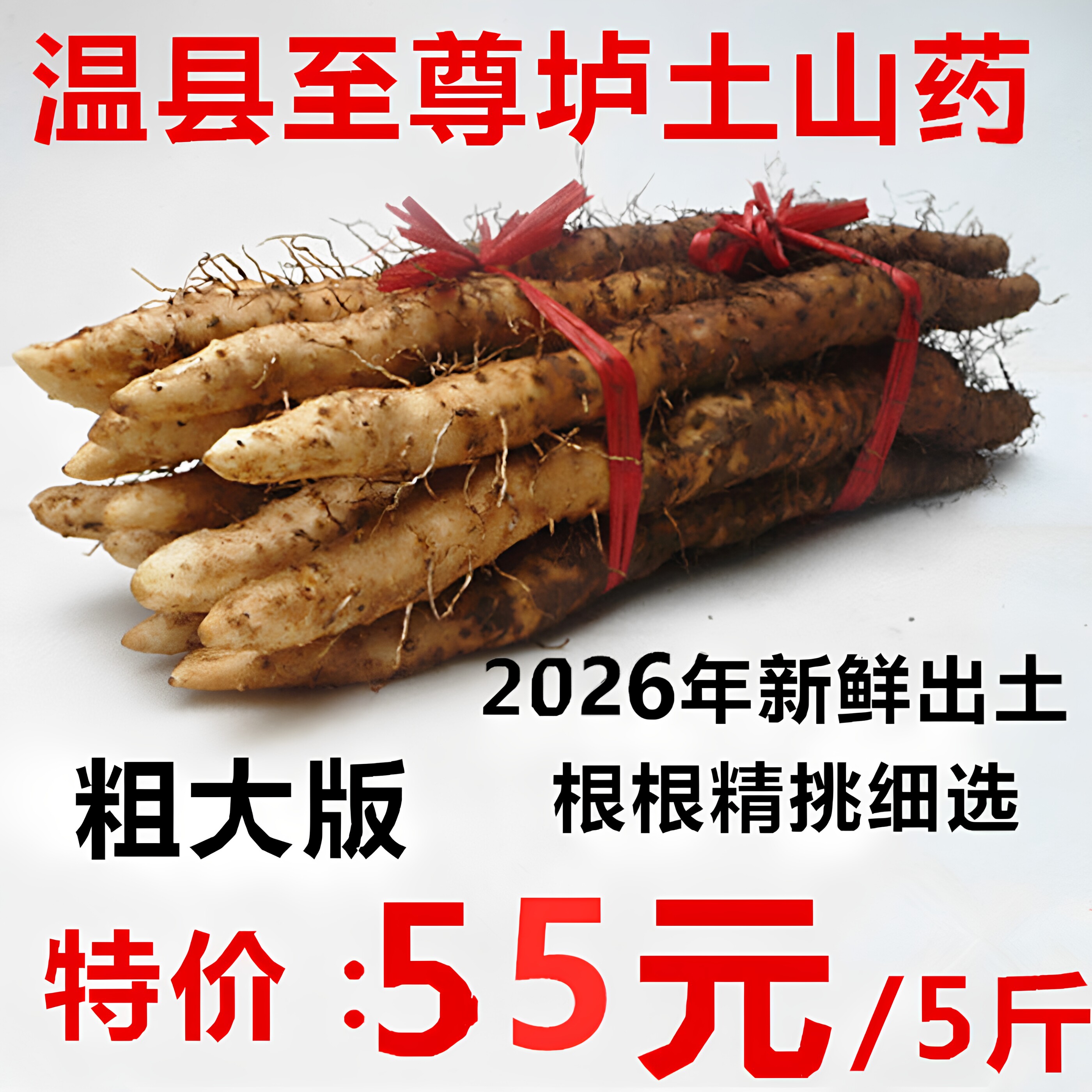 河南焦作温县铁棍山药  正宗温县垆土山药 怀淮山药 新鲜粗大包邮