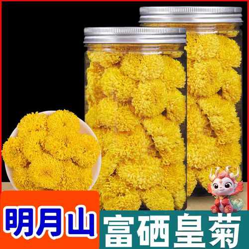 2025新花明月山富硒皇菊花茶绣球菊温汤金丝黄菊罐装大朵