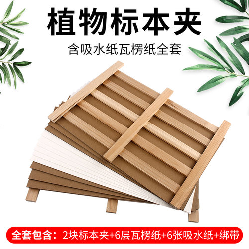 瓦楞纸树叶套装生物教具