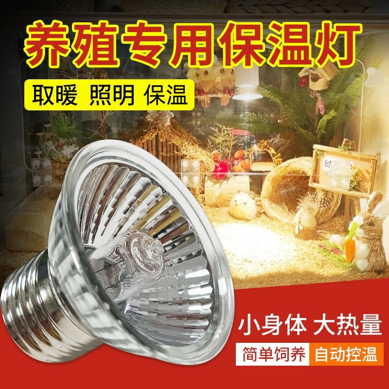 芦丁鸡保温灯小鸡育雏取暖